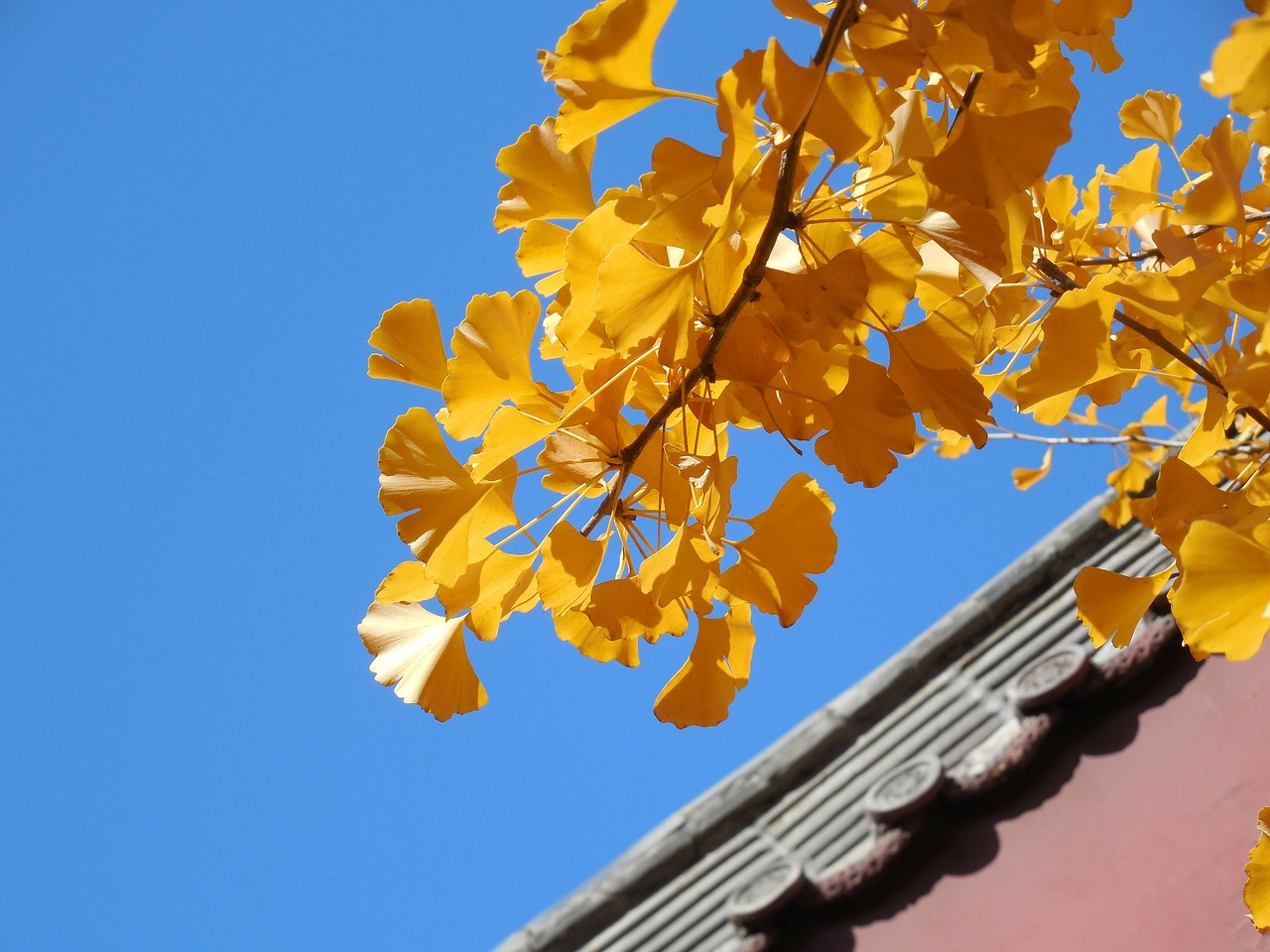 Autumn roof inspection